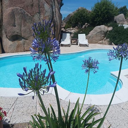 Villa Majore Beb Con Piscina Privata Rena Majore Eksteriør billede