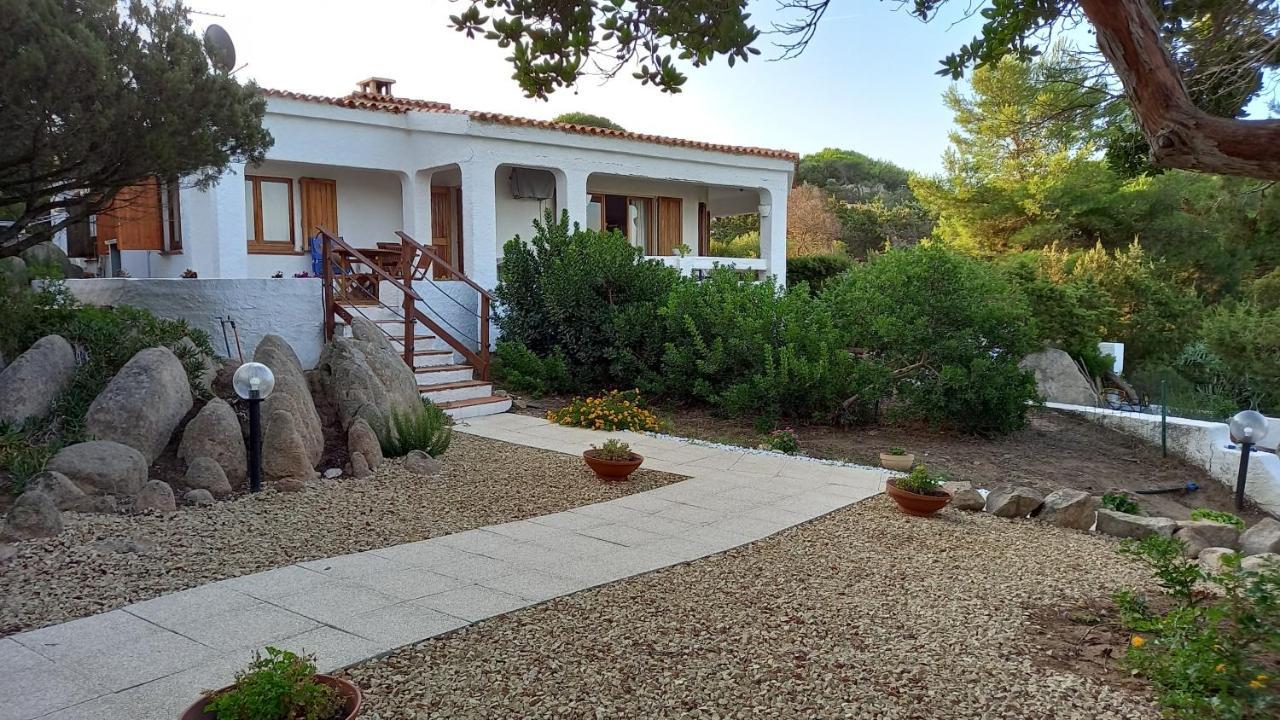 Villa Majore Beb Con Piscina Privata Rena Majore Eksteriør billede
