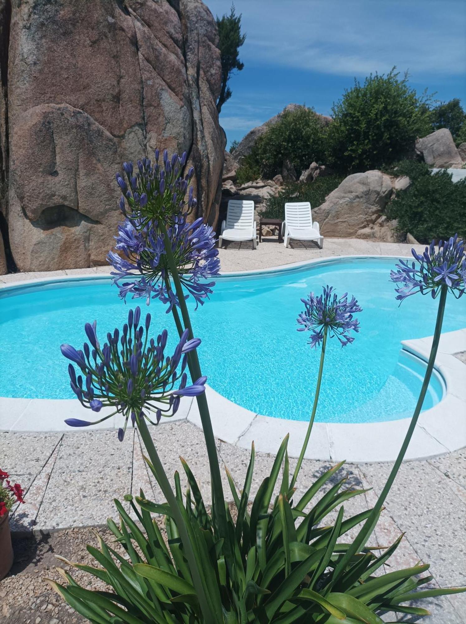 Villa Majore Beb Con Piscina Privata Rena Majore Eksteriør billede
